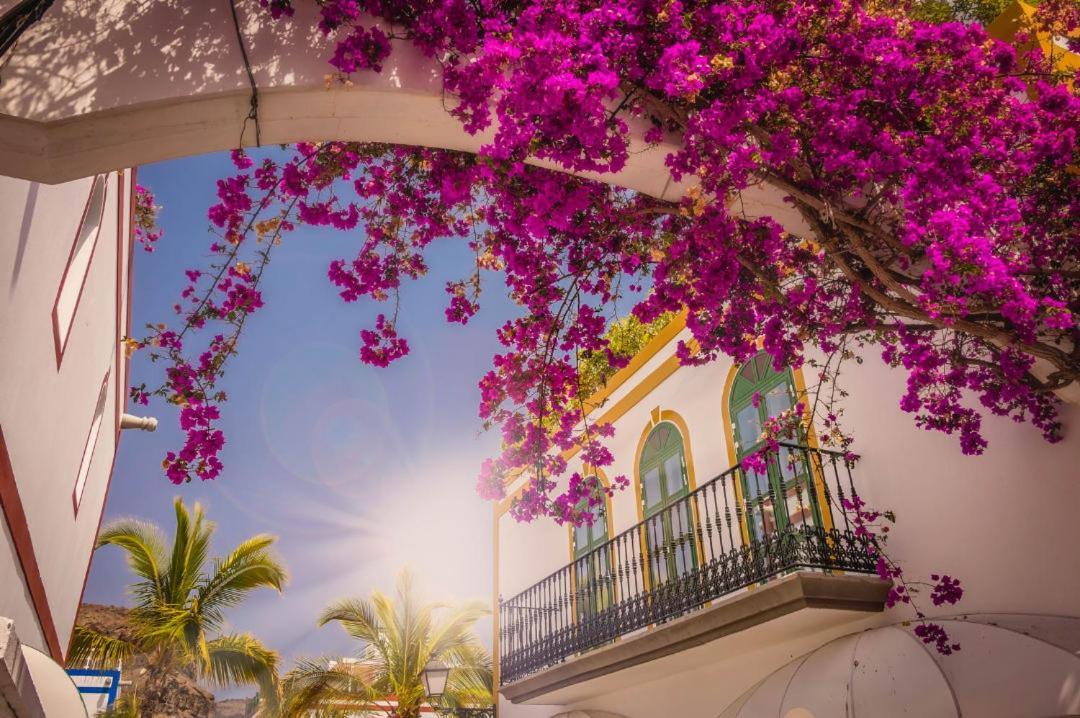 Apartmán 20 Metres From The Sea In Puerto De Mogan Exteriér fotografie
